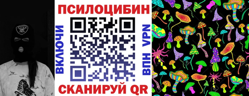 закладка  Куровское  Галлюциногенные грибы Psilocybe 